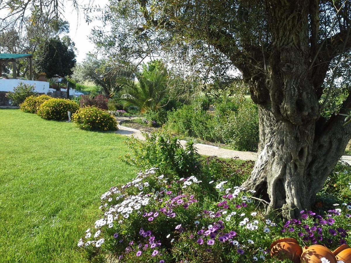 Horta Da Coutada Hotel Monsaraz Buitenkant foto